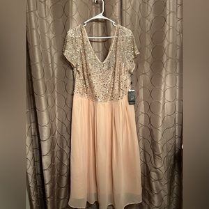 Adrianna Papell pink and gold midi dress. Size 20W